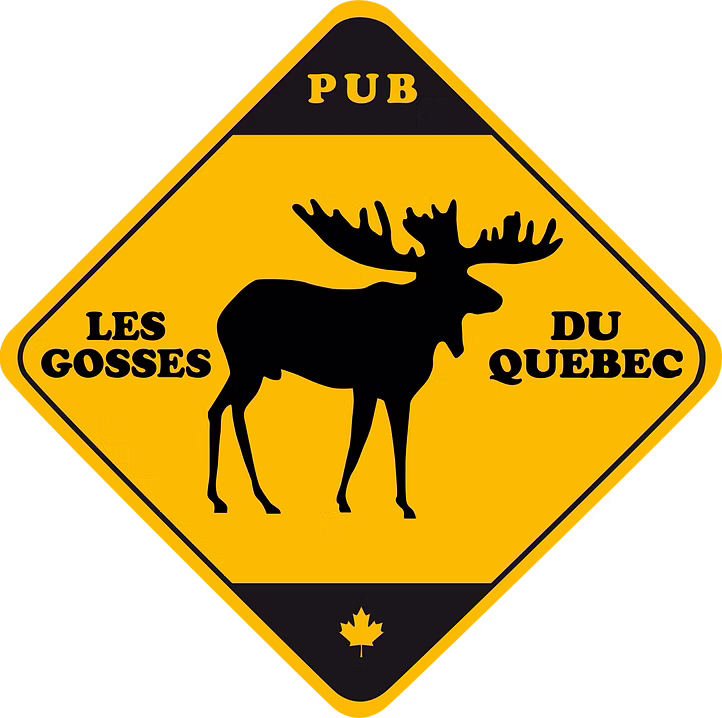 logo gdq 3 (1)